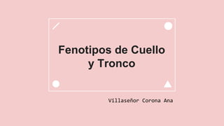 Fenotipos de Cuello
y Tronco
Villaseñor Corona Ana
 