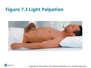 Copyright © 2020, 2016, 2012 Pearson Education, Inc. All Rights Reserved
Figure 7.3 Light Palpation
 