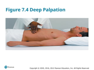Copyright © 2020, 2016, 2012 Pearson Education, Inc. All Rights Reserved
Figure 7.4 Deep Palpation
 