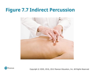 Copyright © 2020, 2016, 2012 Pearson Education, Inc. All Rights Reserved
Figure 7.7 Indirect Percussion
 