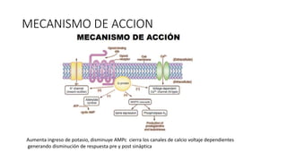 MECANISMO DE ACCION
Aumenta ingreso de potasio, disminuye AMPc cierra los canales de calcio voltaje dependientes
generando disminución de respuesta pre y post sináptica
 