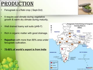 PRoDUCTion
• Fenugreek is a Rabi crop ( Sept-Oct)
• It require cool climate during vegetative
growth & warm dry climate during maturity.
• Well drained loamy soil suits (pH6-7)
• Rich in organic matter with good drainage.
• Rajasthan with more than 80% area under
fenugreek cultivation.
• 70-80% of world’s export is from India
 