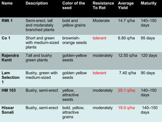 Name Description Color of the
seed
Resistance
To Rot
Average
Yield
Maturity
RMt 1 Semi-erect, tall
and moderately
branched plants
bold and
yellow grains
Moderate 14.7 q/ha 140–150
days
Co 1 Short and green
with medium-sized
plants
brownish-
orange seeds
tolerant 6.80 q/ha 95 days
Rajendra
Kanti
Tall and bushy
green plants
golden-yellow
seeds
moderately 12.50 q/ha 120 days
Lam
Selection
1
Bushy, green with
medium-sized
golden yellow
seeds
tolerant 7.40 q/ha 90 days
HM 103 Bushy, semi-erect yellow,
attractive
seeds
moderately 20.1 q/ha. 140–150
days
Hissar
Sonali
Bushy, semi-erect bold, yellow,
attractive
grains
moderately 19.0 q/ha 140–150
days
 