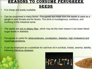 Reasons to consume fenugReek
seeds
• It is cheap and easily available.
• Can be consumed in many forms - Fenugreek tea made from the seeds is used as a
gargle in sore throats and for fevers. The drink is mucilaginous, nutritious, and
soothing to the intestinal canal.
• The seeds are rich in dietary fiber, which may be the main reason it can lower blood
sugar levels in diabetes.
• Fenugreek is useful for atherosclerosis, constipation, diabetes, high cholesterol and
hypertriglyceridemia.
• It can be employed as a substitute for cod-liver oil in scrofula, rickets, anemia, debility
following infectious diseases.
 