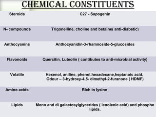 ChEmiCal ConSTiTUEnTS
Steroids C27 - Sapogenin
N- compounds Trigonelline, choline and betaine( anti-diabetic)
Anthocyanins Anthocyanidin-3-rhamnoside-5-glucosides
Flavonoids Quercitin, Luteolin ( contibutes to anti-microbial activity)
Volatile Hexenol, aniline, phenol,hexadecane,heptanoic acid.
Odour – 3-hydroxy-4,5- dimethyl-2-furanone ( HDMF)
Amino acids Rich in lysine
Lipids Mono and di galactosylglycerides ( lenolenic acid) and phospho
lipids.
 