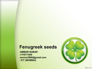Fenugreek seeds
-AMMAR BABAR
-11FET1009
-ammar2896@gmail.com
- ICT (MUMBAI)

 