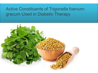 Active Constituents of Trigonella foenum-
gracum Used in Diabetic Therapy
 