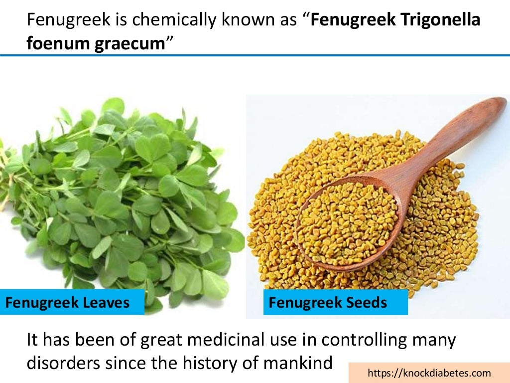 What are the uses, side effects, & dosage of Fenugreek for Diabetes?