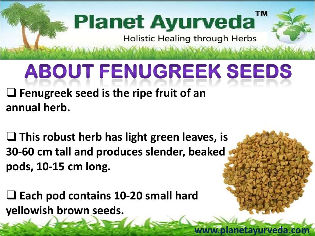 Fenugreek Capsules Benefits, Uses, Dosage and Side Effects