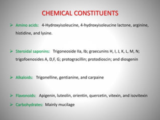 CHEMICAL CONSTITUENTS
 Amino acids: 4-Hydroxyisoleucine, 4-hydroxyisoleucine lactone, arginine,
histidine, and lysine.
 Steroidal saponins: Trigoneoside IIa, Ib; graecunins H, I, J, K, L, M, N;
trigofoenosides A, D,F, G; protogracillin; protodioscin; and diosgenin
 Alkaloids: Trigonelline, gentianine, and carpaine
 Flavonoids: Apigenin, luteolin, orientin, quercetin, vitexin, and isovitexin
 Carbohydrates: Mainly mucilage
 