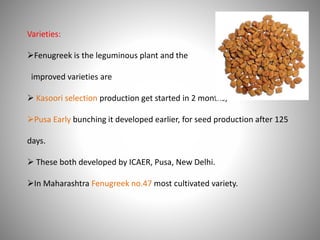 Varieties:
Fenugreek is the leguminous plant and the
improved varieties are
 Kasoori selection production get started in 2 months,
Pusa Early bunching it developed earlier, for seed production after 125
days.
 These both developed by ICAER, Pusa, New Delhi.
In Maharashtra Fenugreek no.47 most cultivated variety.
 
