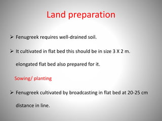 Land preparation
 Fenugreek requires well-drained soil.
 It cultivated in flat bed this should be in size 3 X 2 m.
elongated flat bed also prepared for it.
Sowing/ planting
 Fenugreek cultivated by broadcasting in flat bed at 20-25 cm
distance in line.
 