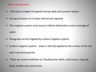 Water management
 One has to irrigate Fenugreek during rabbi and summer season.
 During all season at 4-6 days interval are required
 The irrigation system must ensure uniform distribution and no wastage of
water.
 Fenugreek can be irrigated by surface-irrigation system.
 Surface-irrigation system: water is directly applied to the surface of the soil
and is spread by gravity.
 There are several methods viz. flooding from ditch, check basin, ring and
basin, border strip and furrow.
 