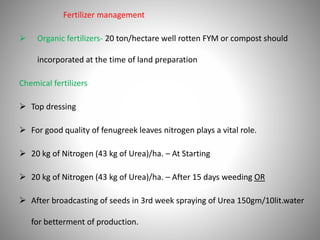 Fertilizer management
 Organic fertilizers- 20 ton/hectare well rotten FYM or compost should
incorporated at the time of land preparation
Chemical fertilizers
 Top dressing
 For good quality of fenugreek leaves nitrogen plays a vital role.
 20 kg of Nitrogen (43 kg of Urea)/ha. – At Starting
 20 kg of Nitrogen (43 kg of Urea)/ha. – After 15 days weeding OR
 After broadcasting of seeds in 3rd week spraying of Urea 150gm/10lit.water
for betterment of production.
 