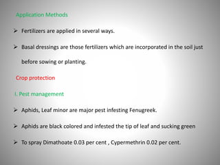 Application Methods
 Fertilizers are applied in several ways.
 Basal dressings are those fertilizers which are incorporated in the soil just
before sowing or planting.
Crop protection
I. Pest management
 Aphids, Leaf minor are major pest infesting Fenugreek.
 Aphids are black colored and infested the tip of leaf and sucking green
 To spray Dimathoate 0.03 per cent , Cypermethrin 0.02 per cent.
 