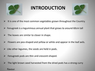 INTRODUCTION
 It is one of the most common vegetables grown throughout the Country.
 Fenugreek is a leguminous annual plant that grows to around 60cm tall
 The leaves are similar to clover in shape.
 Flowers are pea-shaped and yellow or white and appear in the leaf axils.
 Like other legumes, the seeds are held in pods.
 Fenugreek pods are thin and crescent-shaped.
 The light brown seed harvested from the dried pods has a strong curry
flavour.
 