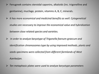 Fenugreek contains steroidal saponins, alkaloids (inc. trigonelline and
gentianine), mucilage, protein, vitamins A, B, C, minerals.
 It has more economical and medicinal benefits as well. Cytogenetical
studies are necessary to improve the economical value and hybridization
between close related species and varieties.
 In order to analyze karyotype of Trigonella foenum-graecum and
identification chromosomes type by using improved methods, plants and
seeds specimens were collected from different farmlands of West
Azerbaijan.
 Ten metaphasic plates were used to analyze karyotype parameters
 