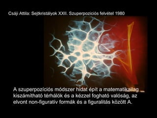 Csáji Attila: Sejtkristályok XXII. Szuperpoziciós felvétel 1980 A szuperpozíciós módszer hidat épít a matematikailag kiszámítható térhálók és a kézzel fogható valóság, az elvont non-figuratív formák és a figuralitás között A. 