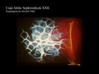Csáji Attila: Sejtkristályok XXII. Szuperpozíciós felvétel 1980 