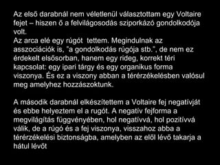 Az első darabnál nem véletlenül választottam egy Voltaire fejet – hiszen ő a felvilágosodás sziporkázó gondolkodója volt.  Az arca elé egy rúgót  tettem. Megindulnak az asszociációk is, ”a gondolkodás rúgója stb.”, de nem ez érdekelt elsősorban, hanem egy rideg, korrekt téri kapcsolat: egy ipari tárgy és egy organikus forma viszonya. És ez a viszony abban a térérzékelésben valósul meg amelyhez hozzászoktunk.  A második darabnál elkészítettem a Voltaire fej negatívját és ebbe helyeztem el a rugót. A negatív fejforma a megvilágítás függvényében, hol negatívvá, hol pozitívvá válik, de a rúgó és a fej viszonya, visszahoz abba a térérzékelési biztonságba, amelyben az elől lévő takarja a hátul lévőt 