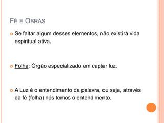Fé e ObrasSe faltar algum desses elementos, não existirá vida espiritual ativa.Folha: Órgão especializado em captar luz.A Luz é o entendimento da palavra, ou seja, através da fé (folha) nós temos o entendimento (luz).