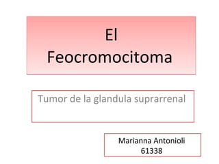 El Feocromocitoma   Tumor de la glandula suprarrenal  Marianna Antonioli  61338  