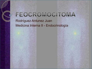 Rodríguez Antunez Juan
Medicina Interna II - Endocrinología

 