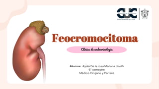 Feocromocitoma
Clínica de endocrinología
Alumna: Ayala De la rosa Mariana Lizeth
6° semestre
Médico Cirujano y Partero
 