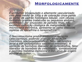 Morfologicamente   É um tumor encapsulado e altamente vascularizado com peso médio de 100g e de coloração cinza-palido ao corte, de padrão histológico lobular, com células formando grandes trabéculas ou pequenos alvéolos, pontilhados por sinusoides de paredes finas, não existindo definição citológica de malignidade. Na microscopia eletrônica, apresenta-se como vesículas repletas de epinefrina e norepinefrina.  O feocromocitoma produz predominantemente catecolaminas, podendo produzir ainda ACTH (hormônio adenocorticotrofico), fator natriuretico atrial e VIP (polipeptídico vasoativo intestinal). A secreção de hormônio liberador de corticotrofina, fator liberador de hormônio de crescimento, somatostatina e peptídeo histidina-metionina e indicativo da origem adrenal do tumor.  