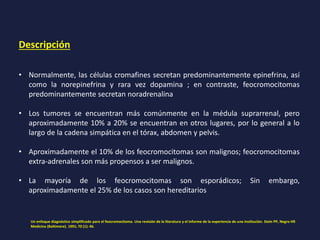 Descripción
• Normalmente, las células cromafines secretan predominantemente epinefrina, así
como la norepinefrina y rara vez dopamina ; en contraste, feocromocitomas
predominantemente secretan noradrenalina
• Los tumores se encuentran más comúnmente en la médula suprarrenal, pero
aproximadamente 10% a 20% se encuentran en otros lugares, por lo general a lo
largo de la cadena simpática en el tórax, abdomen y pelvis.
• Aproximadamente el 10% de los feocromocitomas son malignos; feocromocitomas
extra-adrenales son más propensos a ser malignos.
• La mayoría de los feocromocitomas son esporádicos; Sin embargo,
aproximadamente el 25% de los casos son hereditarios
Un enfoque diagnóstico simplificado para el feocromocitoma. Una revisión de la literatura y el informe de la experiencia de una institución. Stein PP, Negro HR
Medicina (Baltimore). 1991; 70 (1): 46.
 