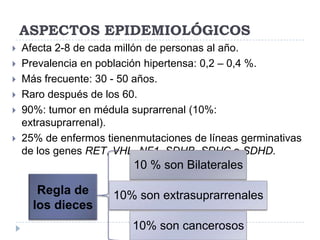 ASPECTOS EPIDEMIOLÓGICOS









Afecta 2-8 de cada millón de personas al año.
Prevalencia en población hipertensa: 0,2 – 0,4 %.
Más frecuente: 30 - 50 años.
Raro después de los 60.
90%: tumor en médula suprarrenal (10%:
extrasuprarrenal).
25% de enfermos tienenmutaciones de líneas germinativas
de los genes RET, VHL, NF1, SDHB, SDHC o SDHD.

10 % son Bilaterales

Regla de
los dieces

10% son extrasuprarrenales
10% son cancerosos

 