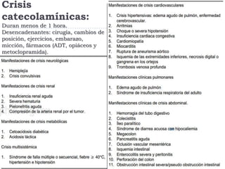 Crisis
catecolamínicas:
Duran menos de 1 hora.
Desencadenantes: cirugía, cambios de
posición, ejercicios, embarazo,
micción, fármacos (ADT, opiáceos y
metoclopramida).

 