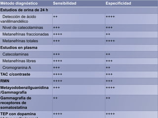 Método diagnóstico

Sensibilidad

Especificidad

++

++++

Nivel de catecolaminas

+++

+++

Metanefrinas fraccionadas

++++

++

Metanefrinas totales

+++

++++

Catecolaminas

+++

++

Metanefrinas libres

++++

+++

Cromogranina A

+++

++

TAC c/contraste

++++

+++

RMN

++++

+++

Metayodobenzilguanidina
/Gammagrafía
Gammagrafía de
receptores de
somatostatina

+++

++++

++

++

TEP con dopamina

++++

++++

Estudios de orina de 24 h
Detección de ácido
vanililmandélico

Estudios en plasma

 