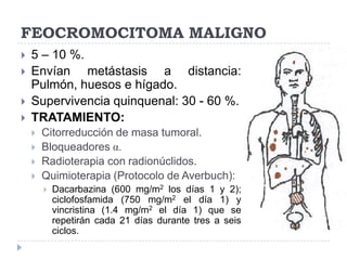 FEOCROMOCITOMA MALIGNO





5 – 10 %.
Envían metástasis a distancia:
Pulmón, huesos e hígado.
Supervivencia quinquenal: 30 - 60 %.
TRATAMIENTO:






Citorreducción de masa tumoral.
Bloqueadores α.
Radioterapia con radionúclidos.
Quimioterapia (Protocolo de Averbuch):


Dacarbazina (600 mg/m2 los días 1 y 2);
ciclofosfamida (750 mg/m2 el día 1) y
vincristina (1.4 mg/m2 el día 1) que se
repetirán cada 21 días durante tres a seis
ciclos.

 