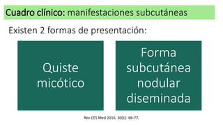 Cuadro clínico: manifestaciones subcutáneas
Existen 2 formas de presentación:
Quiste
micótico
Forma
subcutánea
nodular
diseminada
Rev CES Med 2016. 30(1): 66-77.
 