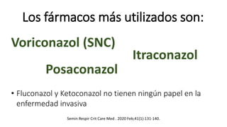 Los fármacos más utilizados son:
Voriconazol (SNC)
Posaconazol
Itraconazol
• Fluconazol y Ketoconazol no tienen ningún papel en la
enfermedad invasiva
Semin Respir Crit Care Med . 2020 Feb;41(1):131-140.
 
