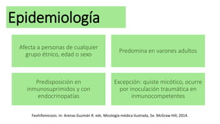 Epidemiología
Afecta a personas de cualquier
grupo étnico, edad o sexo
Predomina en varones adultos
Predisposición en
inmunosuprimidos y con
endocrinopatías
Excepción: quiste micótico, ocurre
por inoculación traumática en
inmunocompetentes
Feohifomicosis. In: Arenas Guzmán R. eds. Micología médica ilustrada, 5e. McGraw Hill; 2014.
 