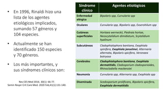 • En 1996, Rinaldi hizo una
lista de los agentes
etiológicos implicados,
sumando 57 géneros y
104 especies.
• Actualmente se han
identificado 150 especies
y 70 géneros.
• Los más importantes, y
sus síndromes clínicos son:
Síndrome
clínico
Agentes etiológicos
Enfermedad
alérgica
Bipolaris spp, Curvularia spp
Oculares Curvularia spp, Bipolaris spp, Exserohilum spp
Cutáneas
superficiales
Hortaea werneckii, Piedraia hortae,
Neoscytalidium dimidiatum, Scytalidium
hyalinum
Subcutáneas Cladophialophora bantiana, Exophiala
spinifera, Exophiala janselmei, Alternaria
alternata, Bipolaris spicifera, Veronaea
botryosa
Cerebrales Cladophialophora bantiana, Exophiala
dermatitidis, Cladosporium cladosporioides,
Rhinocladiella mackenziei
Neumonía Curvularia spp, Alternaria spp, Exophiala spp
Diseminada Scedosporium prolificans, Bipolaris spicifera,
Exophiala dermatitidis
Rev CES Med 2016. 30(1): 66-77.
Semin Respir Crit Care Med. 2020 Feb;41(1):131-140.
 