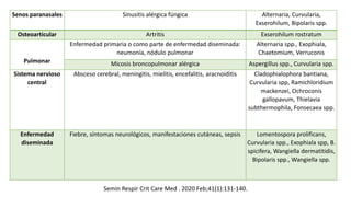Senos paranasales Sinusitis alérgica fúngica Alternaria, Curvularia,
Exserohilum, Bipolaris spp.
Osteoarticular Artritis Exserohilum rostratum
Pulmonar
Enfermedad primaria o como parte de enfermedad diseminada:
neumonía, nódulo pulmonar
Alternaria spp., Exophiala,
Chaetomium, Verruconis
Micosis broncopulmonar alérgica Aspergillus spp., Curvularia spp.
Sistema nervioso
central
Absceso cerebral, meningitis, mielitis, encefalitis, aracnoiditis Cladophialophora bantiana,
Curvularia spp, Ramichloridium
mackenzei, Ochroconis
gallopavum, Thielavia
subthermophila, Fonsecaea spp.
Enfermedad
diseminada
Fiebre, síntomas neurológicos, manifestaciones cutáneas, sepsis Lomentospora prolificans,
Curvularia spp., Exophiala spp, B.
spicifera, Wangiella dermatitidis,
Bipolaris spp., Wangiella spp.
Semin Respir Crit Care Med . 2020 Feb;41(1):131-140.
 