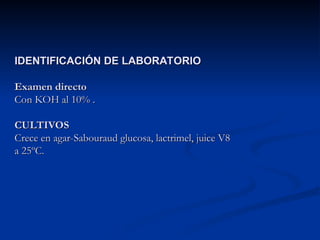IDENTIFICACIÓN DE LABORATORIO
IDENTIFICACIÓN DE LABORATORIO
Examen directo
Examen directo
Con KOH al 10% .
Con KOH al 10% .
CULTIVOS
CULTIVOS
Crece en agar-Sabouraud glucosa, lactrimel, juice V8
Crece en agar-Sabouraud glucosa, lactrimel, juice V8
a 25ºC.
a 25ºC.
 