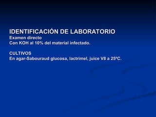 IDENTIFICACIÓN DE LABORATORIO
IDENTIFICACIÓN DE LABORATORIO
Examen directo
Examen directo
Con KOH al 10% del material infectado.
Con KOH al 10% del material infectado.
CULTIVOS
CULTIVOS
En agar-Sabouraud glucosa, lactrimel, juice V8 a 25ºC.
En agar-Sabouraud glucosa, lactrimel, juice V8 a 25ºC.
 