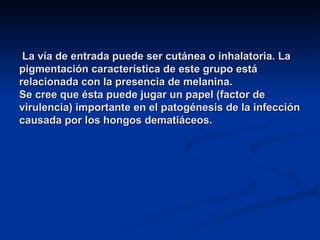 La vía de entrada puede ser cutánea o inhalatoria. La
La vía de entrada puede ser cutánea o inhalatoria. La
pigmentación característica de este grupo está
pigmentación característica de este grupo está
relacionada con la presencia de melanina.
relacionada con la presencia de melanina.
Se cree que ésta puede jugar un papel (factor de
Se cree que ésta puede jugar un papel (factor de
virulencia) importante en el patogénesis de la infección
virulencia) importante en el patogénesis de la infección
causada por los hongos dematiáceos.
causada por los hongos dematiáceos.
 