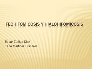 FEOHIFOMICOSIS Y HIALOHIFOMICOSIS
Eduar Zuñiga Diaz
Karla Martinez Cisneros
 