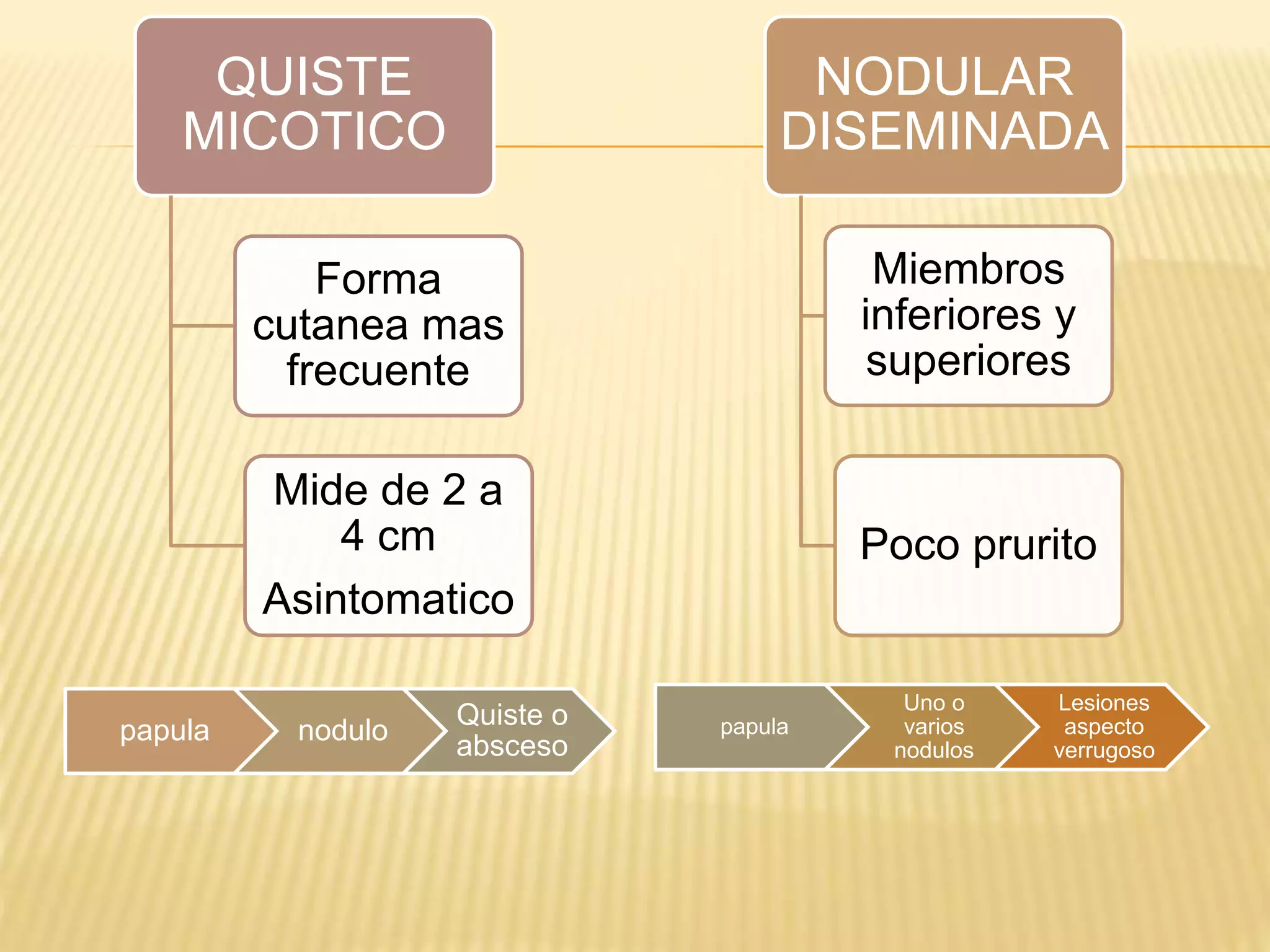 QUISTE
MICOTICO
Forma
cutanea mas
frecuente
Mide de 2 a
4 cm
Asintomatico
NODULAR
DISEMINADA
Miembros
inferiores y
superiores
Poco prurito
papula nodulo
Quiste o
absceso
papula
Uno o
varios
nodulos
Lesiones
aspecto
verrugoso
 