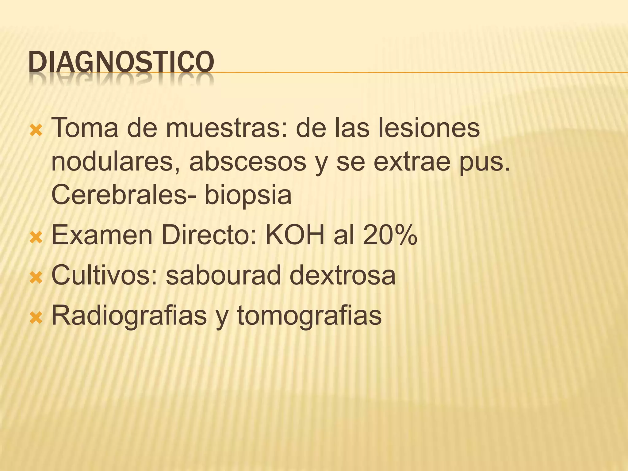 DIAGNOSTICO
 Toma de muestras: de las lesiones
nodulares, abscesos y se extrae pus.
Cerebrales- biopsia
 Examen Directo: KOH al 20%
 Cultivos: sabourad dextrosa
 Radiografias y tomografias
 