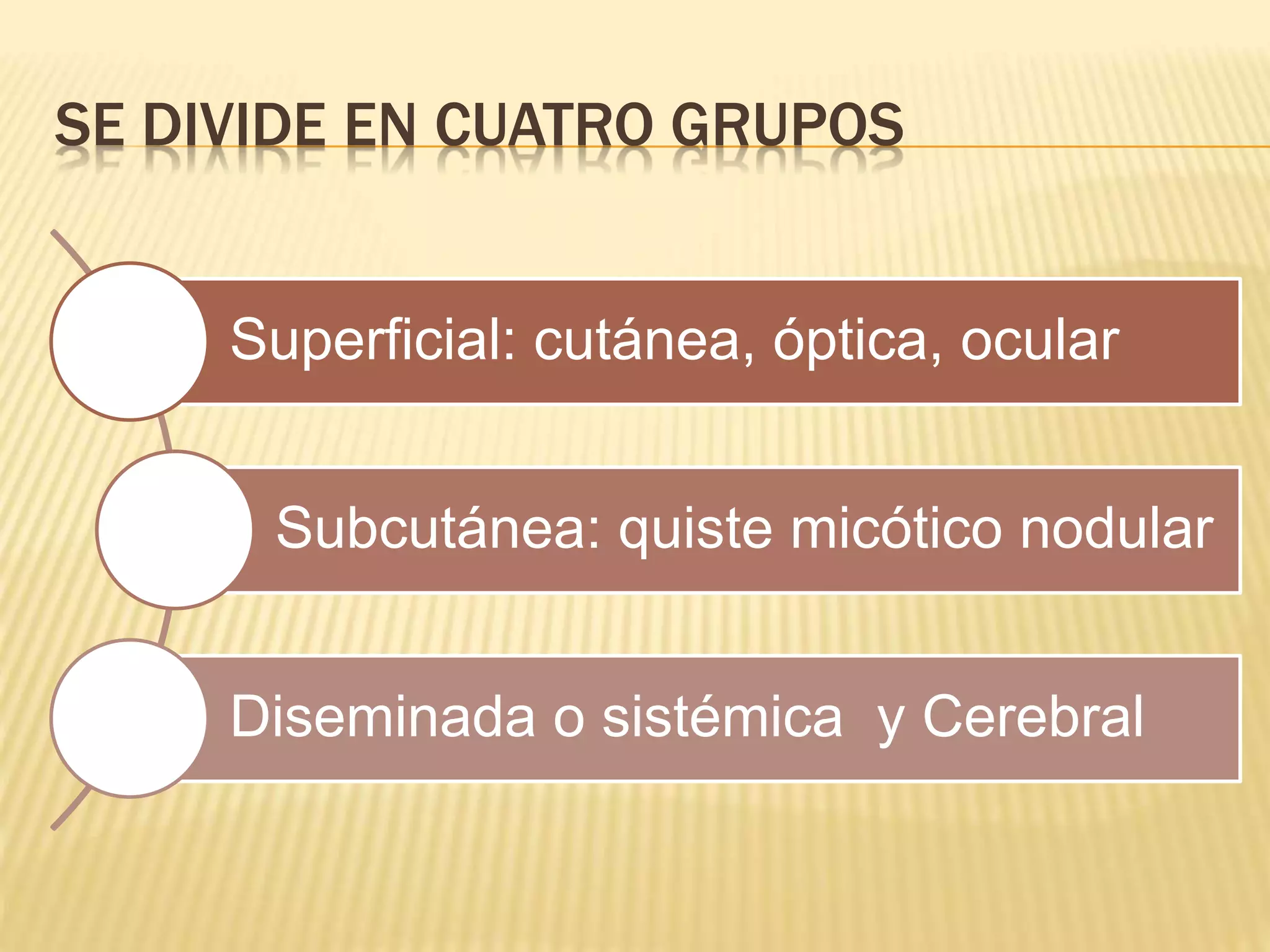 SE DIVIDE EN CUATRO GRUPOS
Superficial: cutánea, óptica, ocular
Subcutánea: quiste micótico nodular
Diseminada o sistémica y Cerebral
 