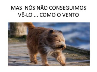 MAS NÓS NÃO CONSEGUIMOS
VÊ-LO ... COMO O VENTO
 