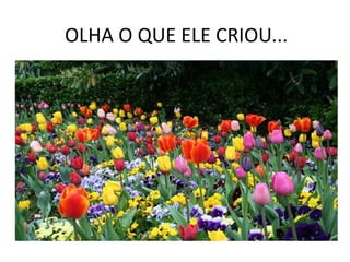 OLHA O QUE ELE CRIOU...
 