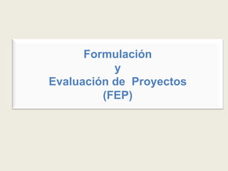 Formulación y Evaluación de  Proyectos (FEP) 