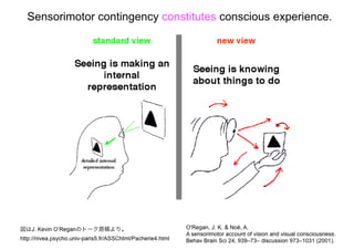 「アクティブビジョンと フリストン自由エネルギー原理」@北大20170111